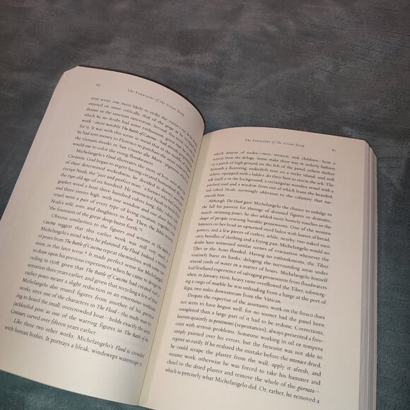 Book Michelangelo and the Pope's Ceiling Ross King New York Times Bestseller - Picture 13 of 16